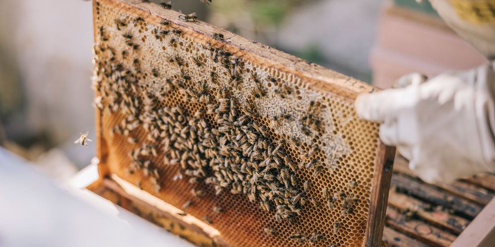 Vergeben Sie Schlagworte